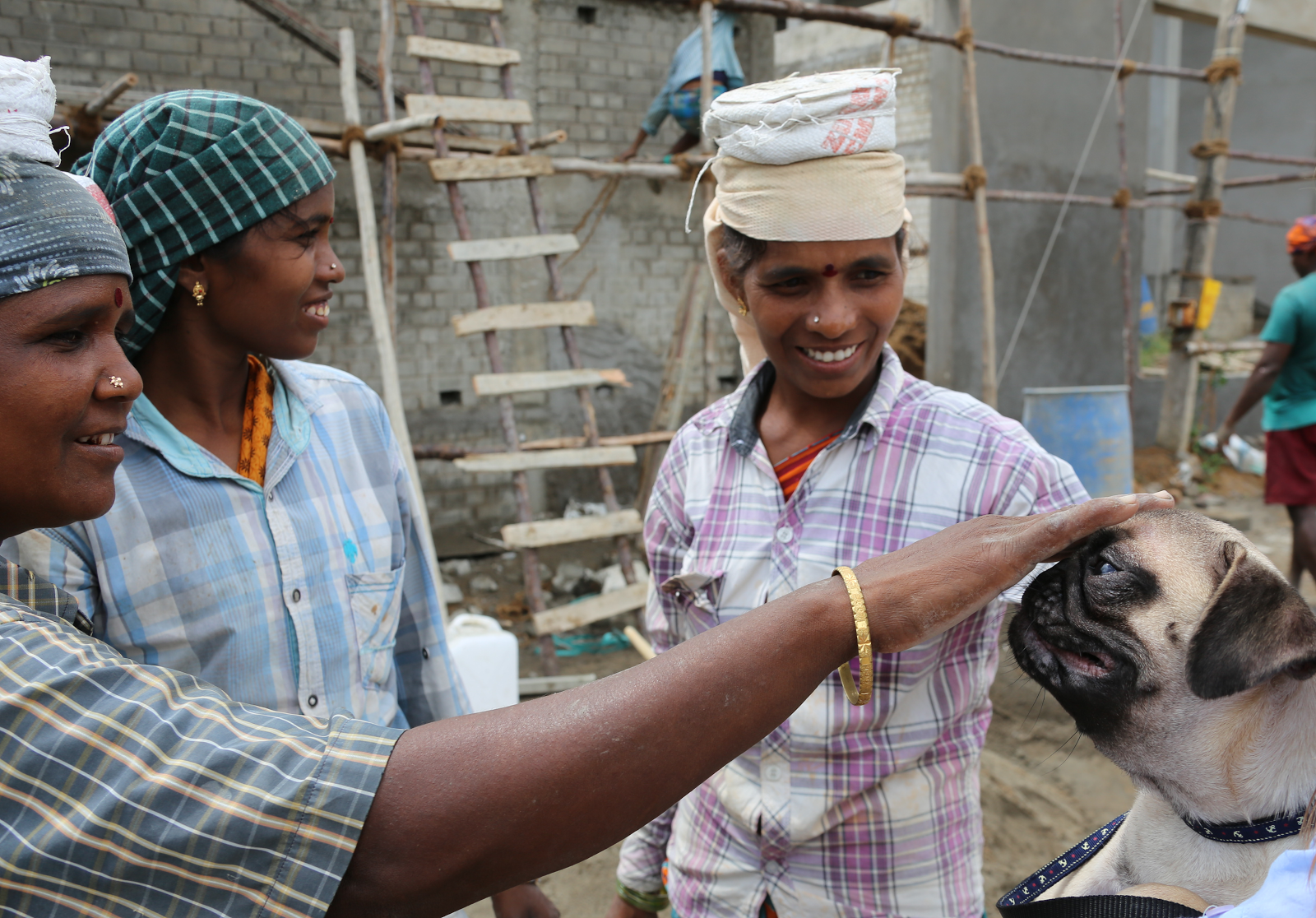 MrWigglesisBae2 (Imogen)