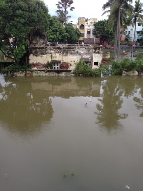 PinkyBlinkyInkyClyde (Donovan)