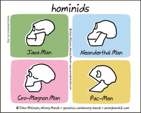 hominids
