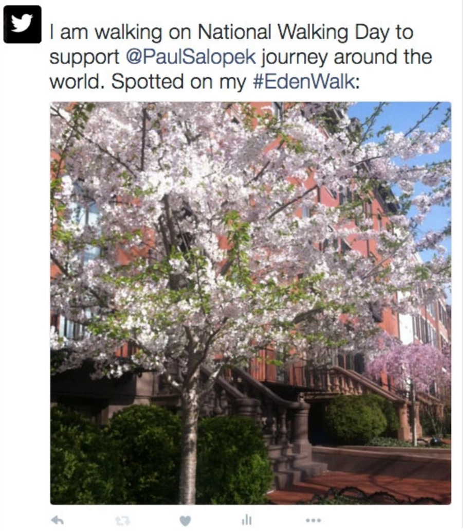 Screen Shot 2016-04-06 at 8.23.28 AM